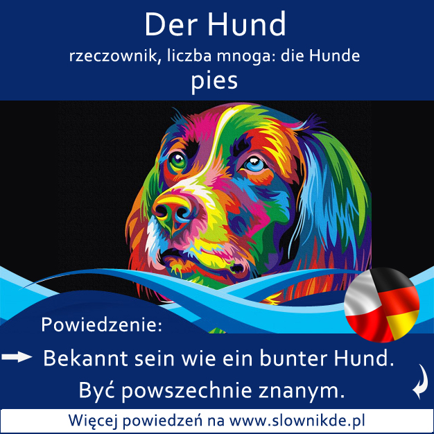 Hund