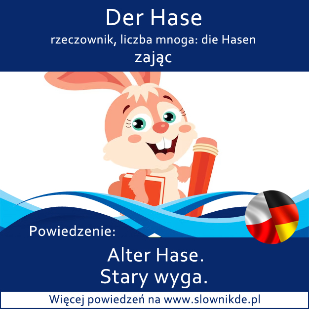 Hase