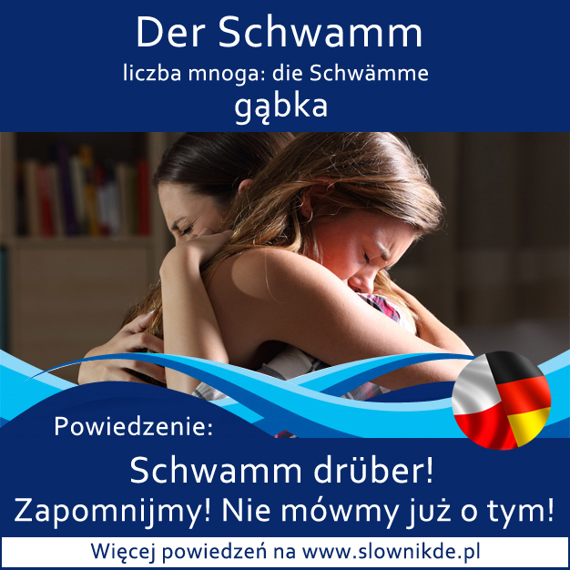 schwamm