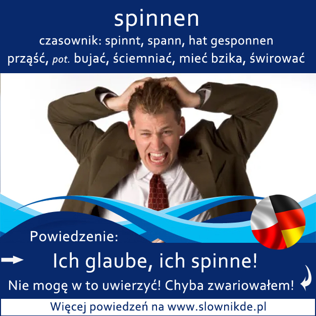 spinnen