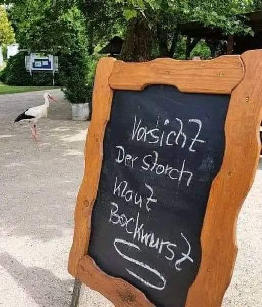 Bockwurst