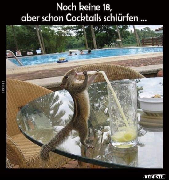 Cocktail