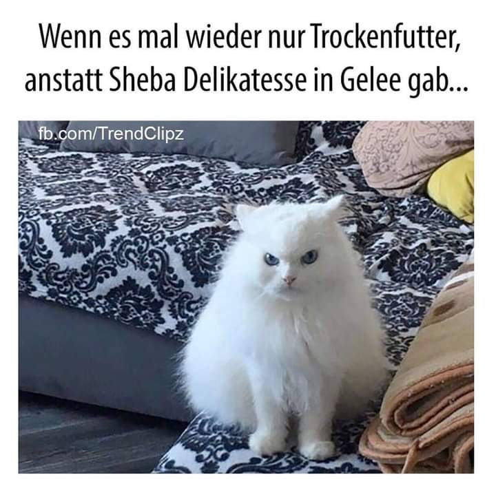 Delikatesse