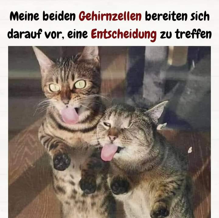 Entscheidung