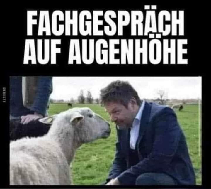 Augenhohe