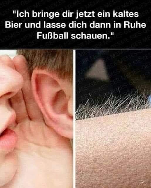 schauen