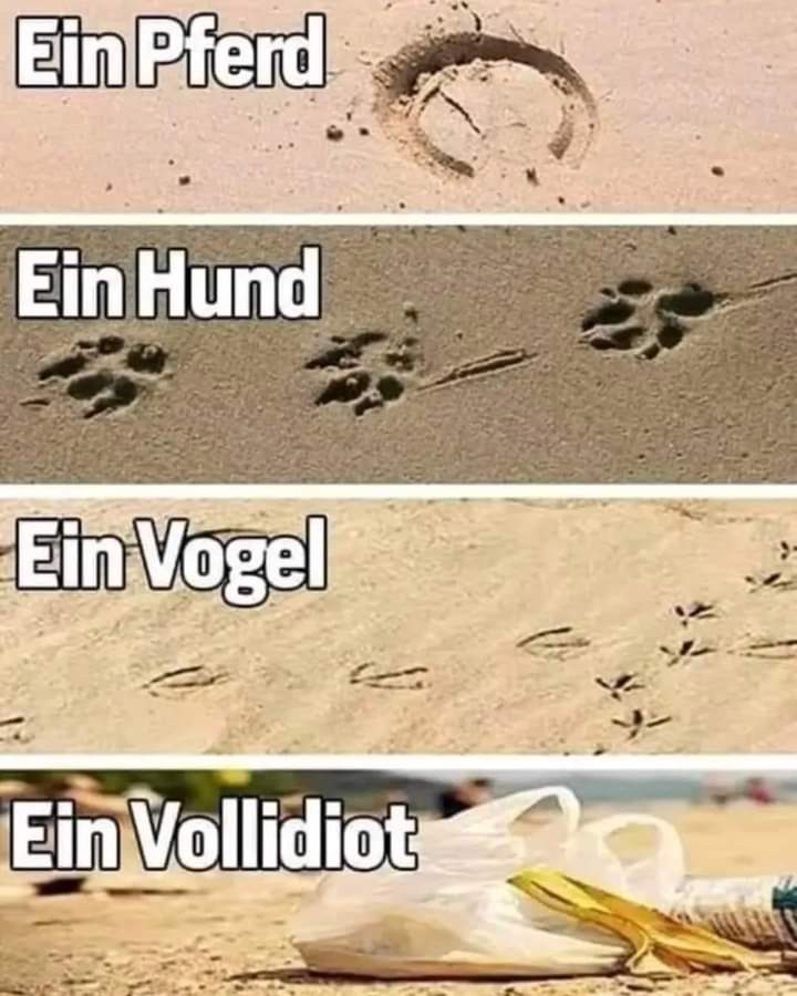 Vollidiot