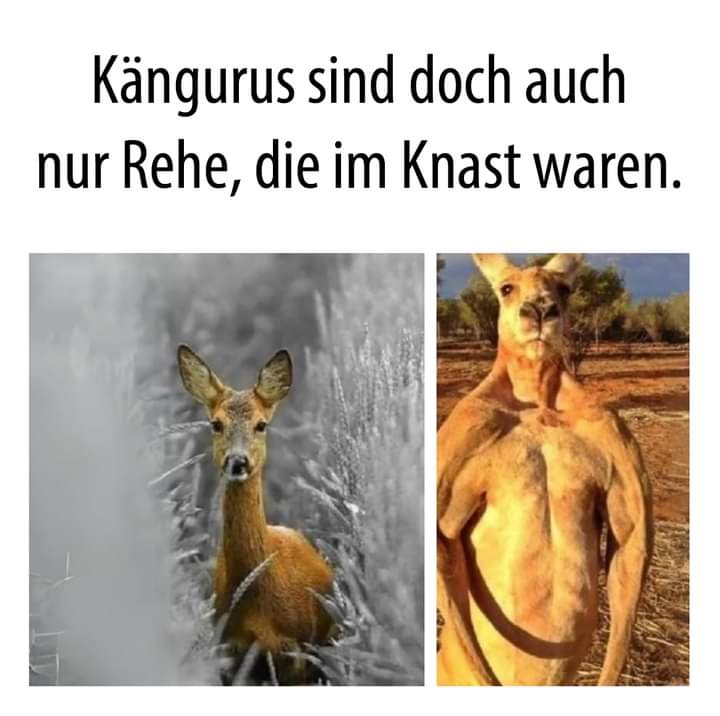 Rehe