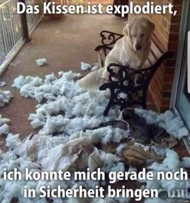 explodieren