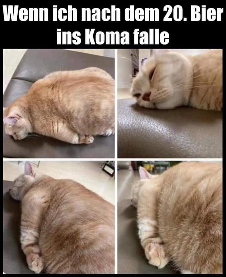 Koma