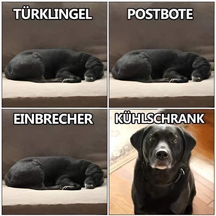 Kuhlschrank