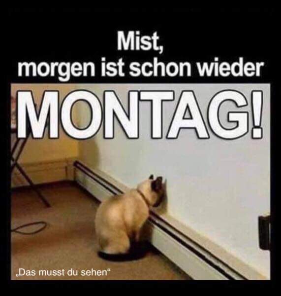 Montag