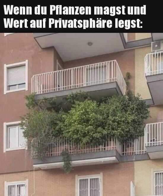 Privatsphare