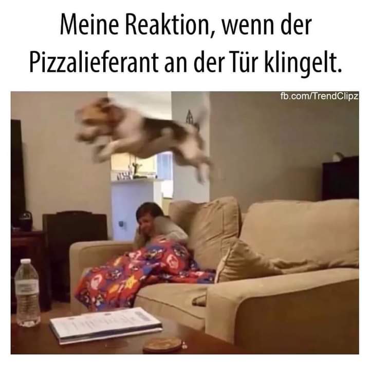 Pizzalieferant