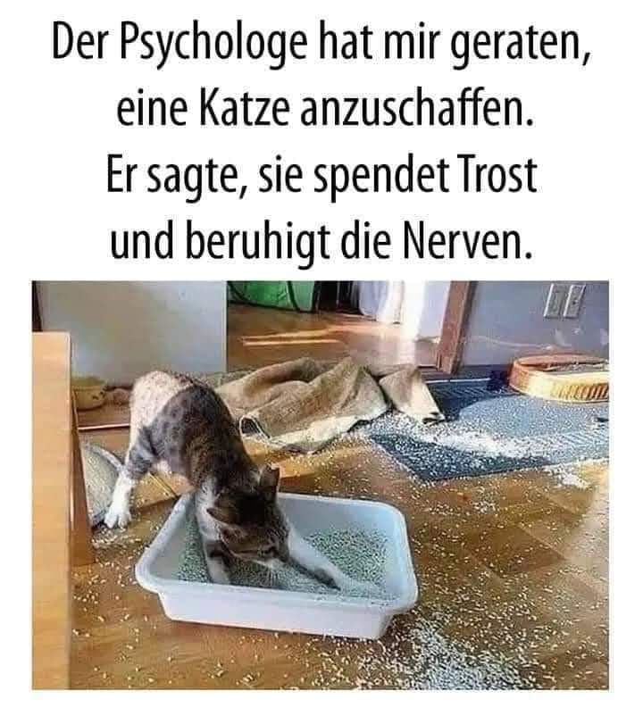 anschaffen