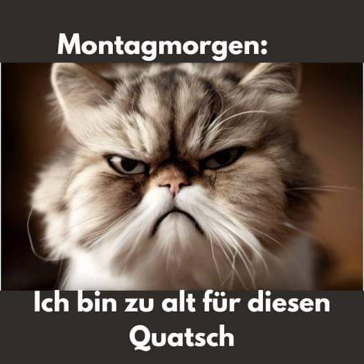 Quatsch