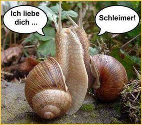 Schleimer