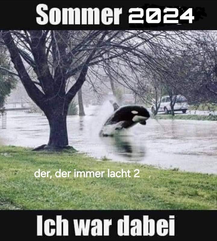 Sommer