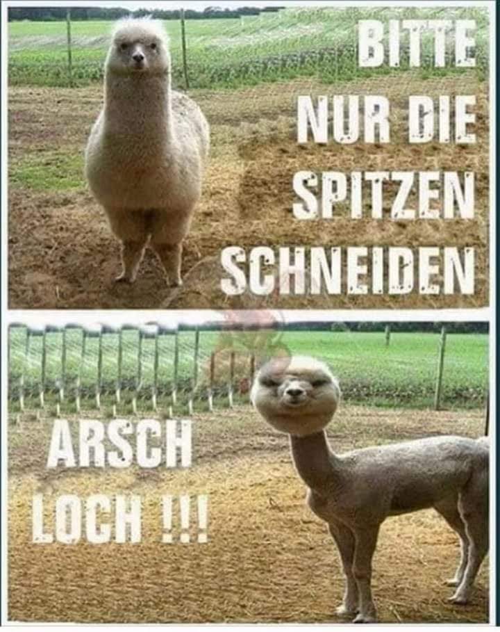 schneiden