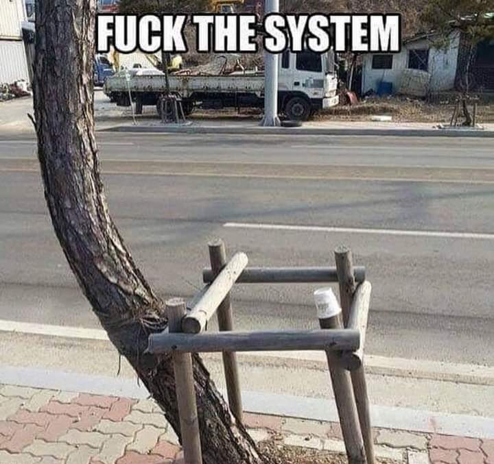 System