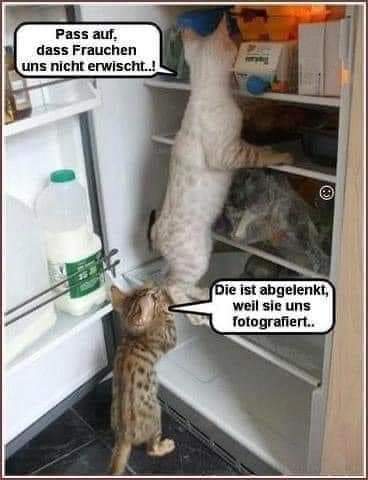 erwischen