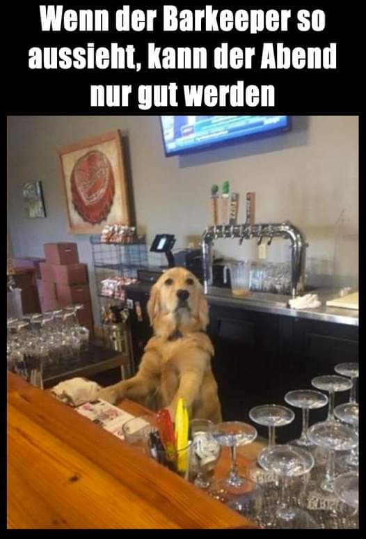 Barkeeper