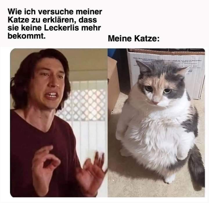 versuchen