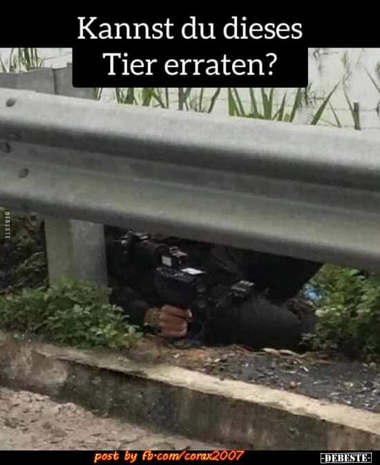 erraten