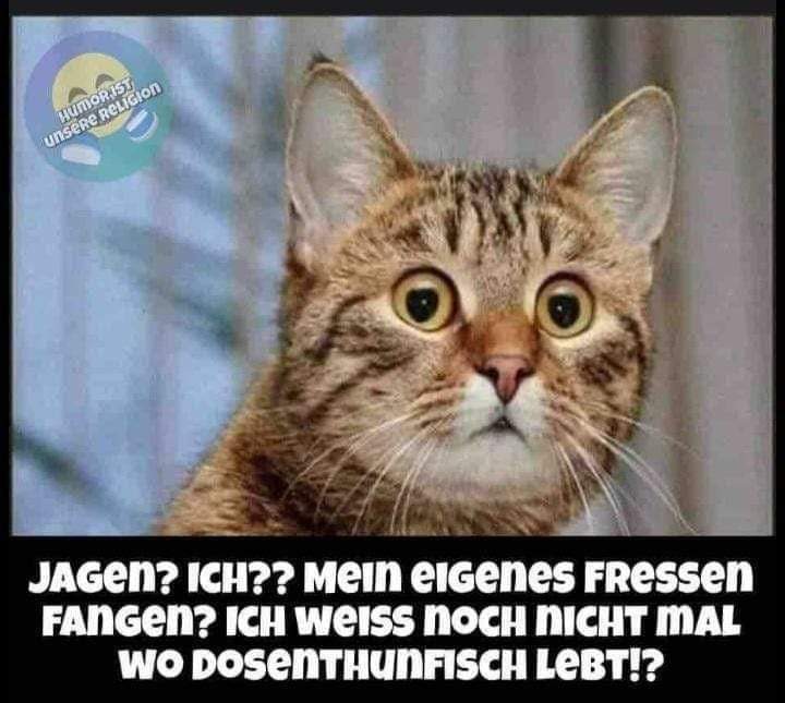 fangen