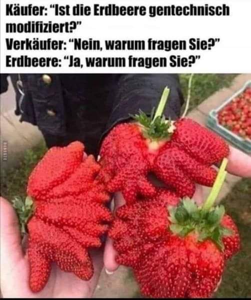 Erdbeere