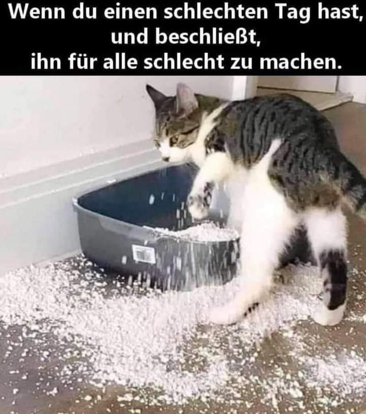 schlecht