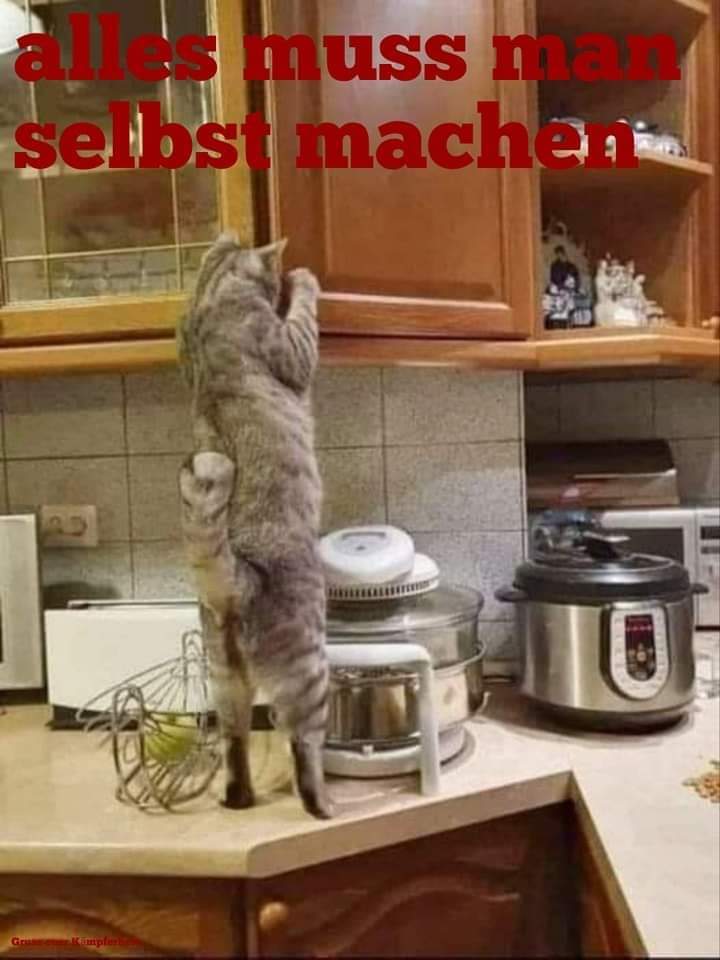 selbst