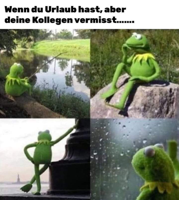 vermissen