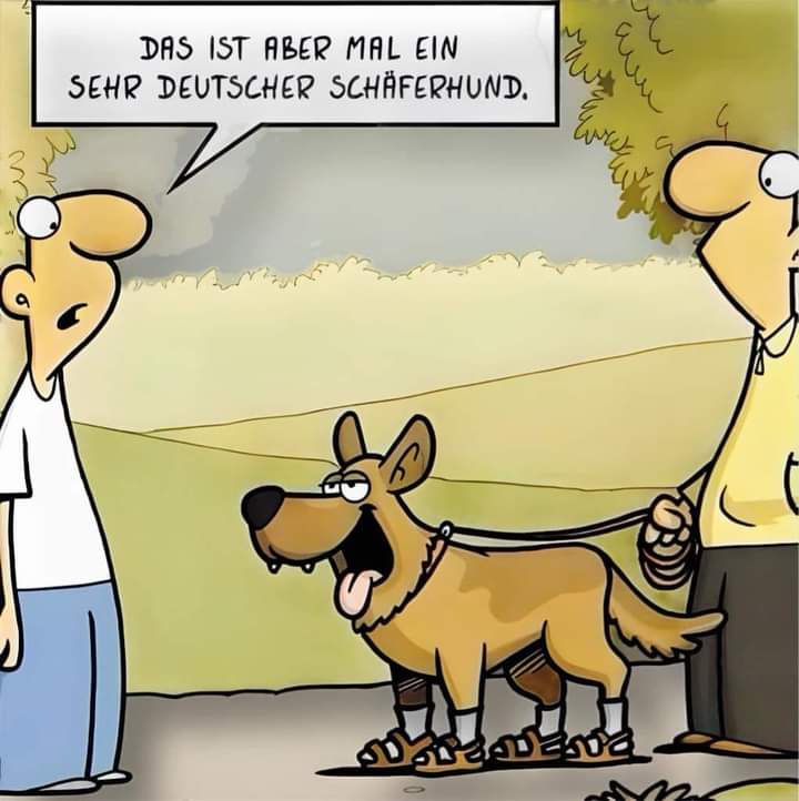 Schaferhund