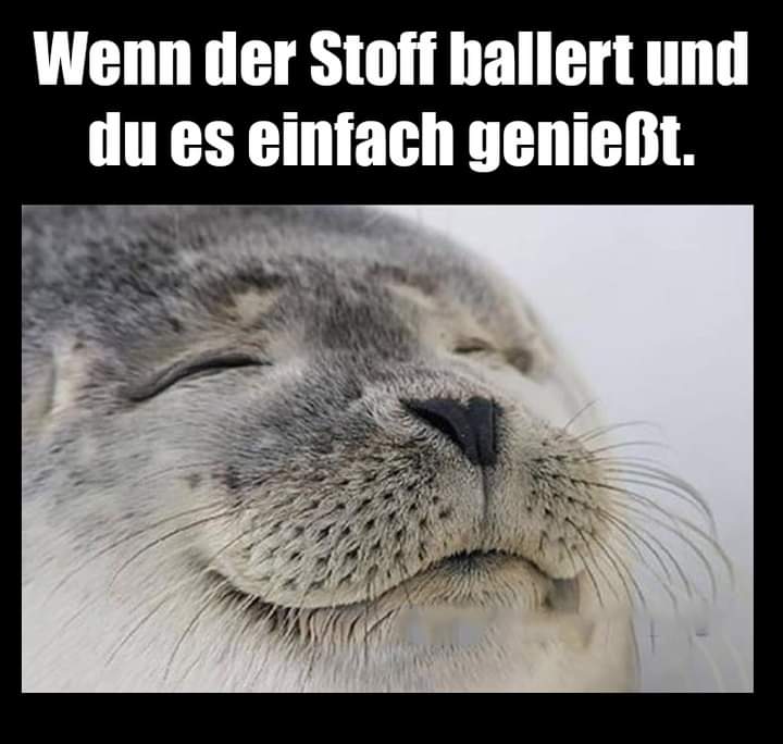 ballern