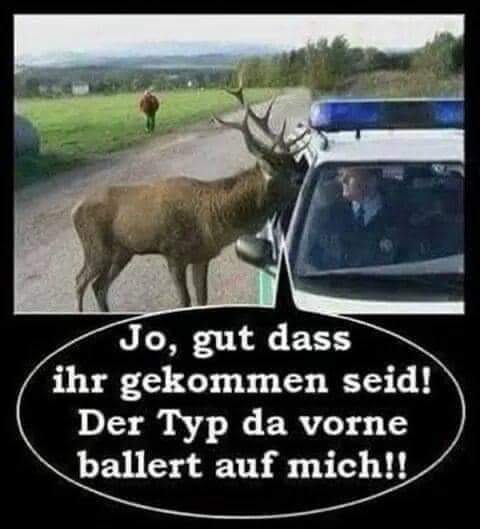 ballern