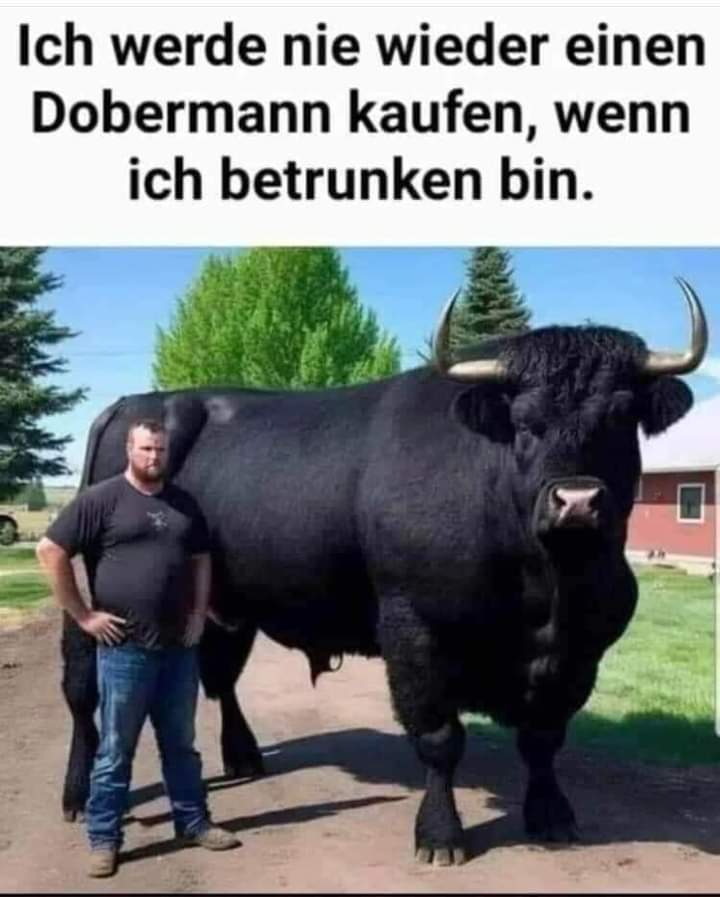 Dobermann