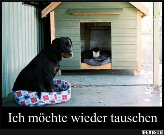 tauschen