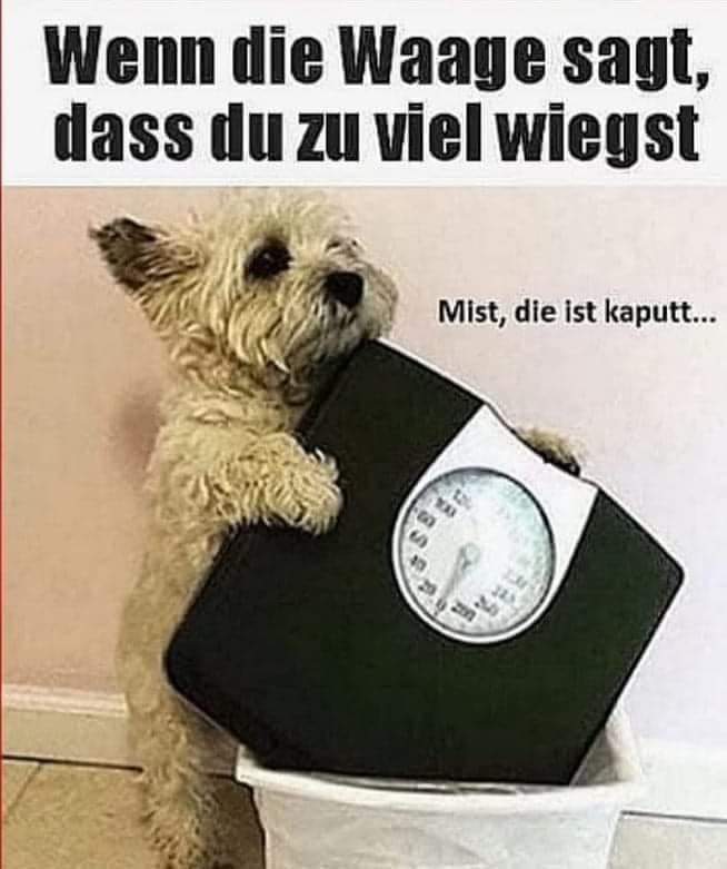 wiegen