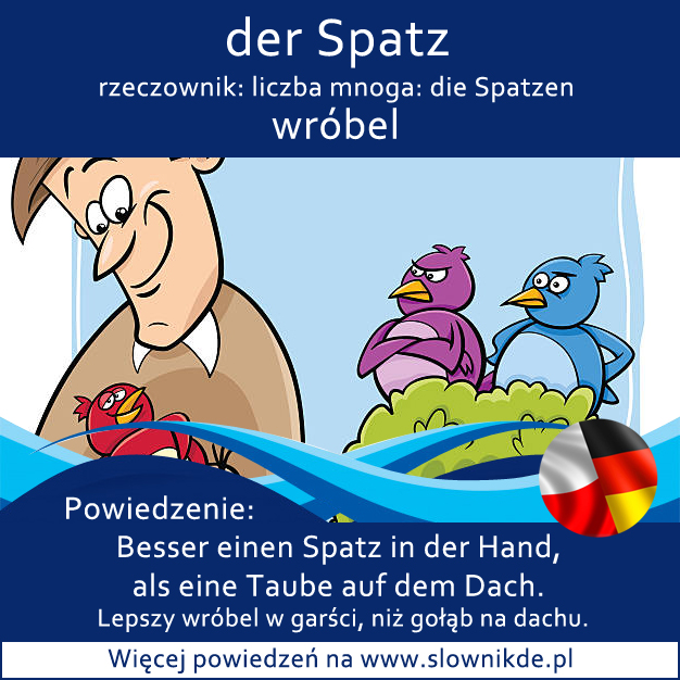 Spatz