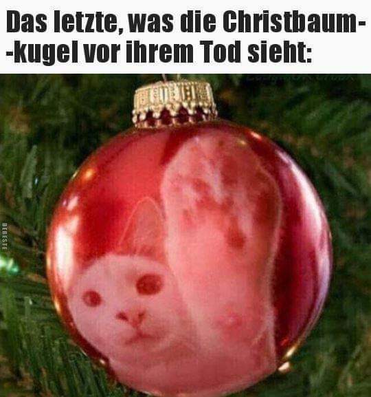 Christbaum der - choinka