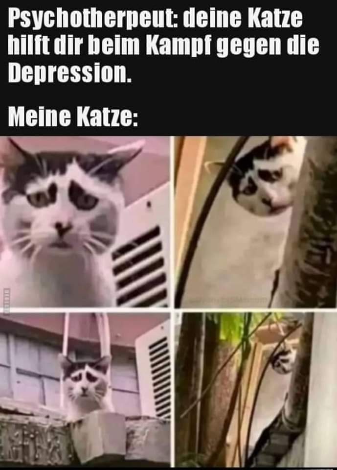 die Depression - depresja, niż