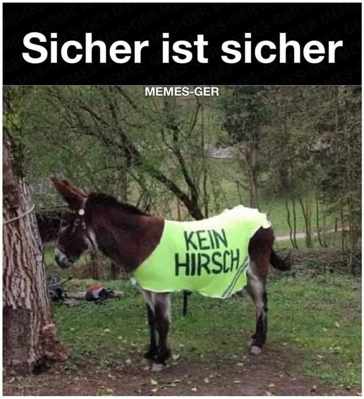 Hirsch